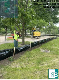 7.12.25 Tree Trimming