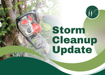 July 2025 Storm Cleanup Update