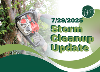 Update: July 2025 Storm Cleanup Plan