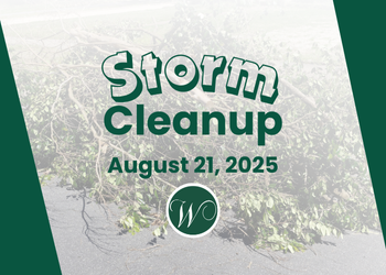 2025 August Special Storm Cleanup